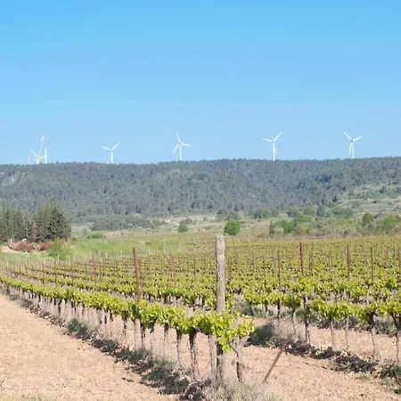 In France Near Hiking Trails * Couleuvre