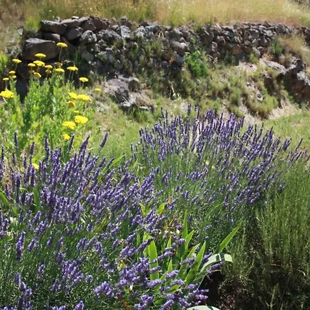 In France Near Hiking Trails 別荘